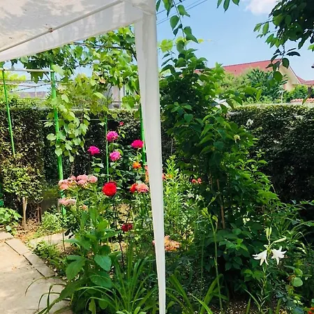 Apartament De Inchiriat In Regim アパート